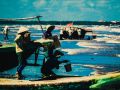 Cuộc sống ít người biết đến ở “thiên đường sung sướng” Quất Lâm